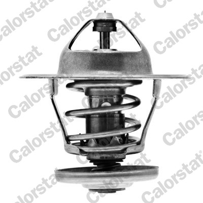 Termostato, refrigerante CALORSTAT BY VERNET TH7020.82