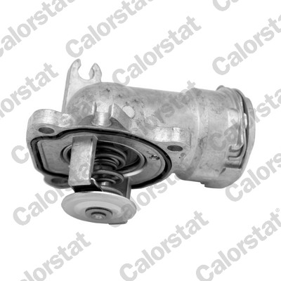 Termostato, refrigerante CALORSTAT BY VERNET TH7071.87J