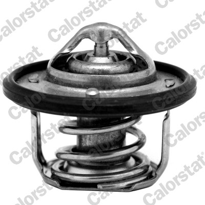 Termostato, refrigerante CALORSTAT BY VERNET TH7084.82J