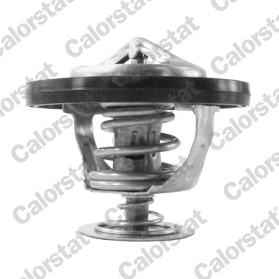 Termostato, refrigerante CALORSTAT BY VERNET TH7217.95J