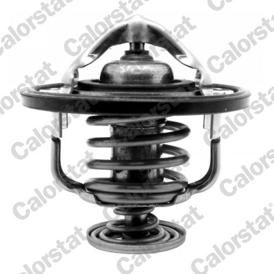 Termostato, refrigerante CALORSTAT BY VERNET TH7261.88J