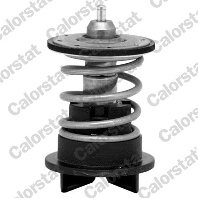 Termostato, refrigerante CALORSTAT BY VERNET TH7272.89