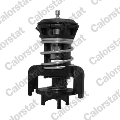Termostato, refrigerante CALORSTAT BY VERNET TH7275.92J