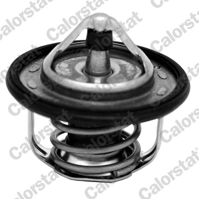 Termostato, refrigerante CALORSTAT BY VERNET TH7300.95J
