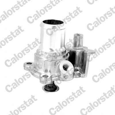 Termostato, refrigerante CALORSTAT BY VERNET TH7303.82J