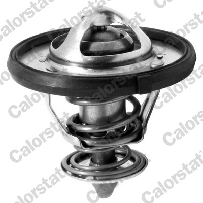 Termostato, refrigerante CALORSTAT BY VERNET TH7310.77J