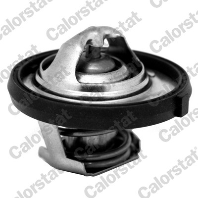 Termostato, refrigerante CALORSTAT BY VERNET TH7311.95J