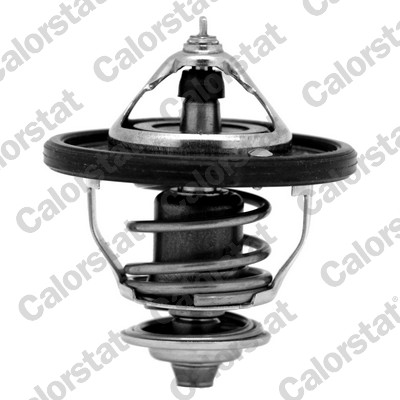 Termostato, refrigerante CALORSTAT BY VERNET TH7354.88J