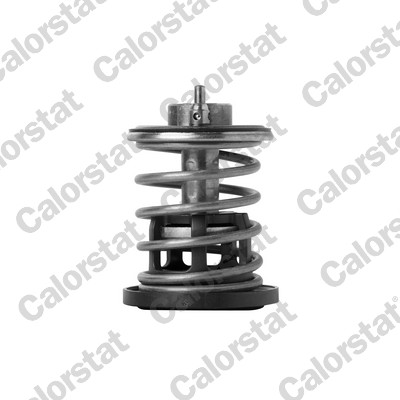 Termostato, refrigerante CALORSTAT BY VERNET TH7382.88
