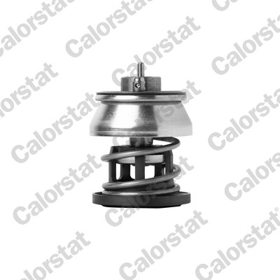 Termostato, refrigerante CALORSTAT BY VERNET TH7383.88