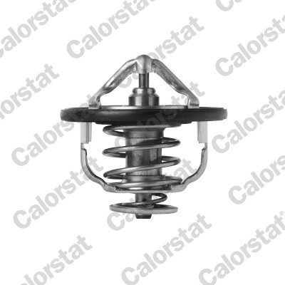Termostato, refrigerante CALORSTAT BY VERNET TH7399.85J