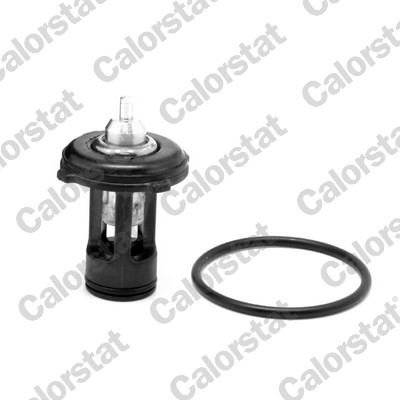 Termostato, refrigerante CALORSTAT BY VERNET THK7271.87J