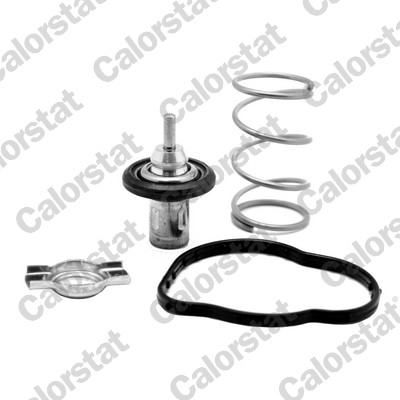 Termostato, refrigerante CALORSTAT BY VERNET THK7276.83J