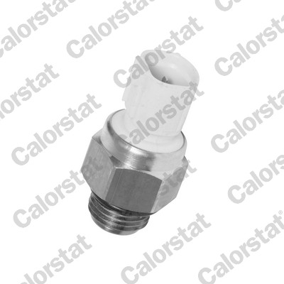 Termocontatto, ventola radiatore CALORSTAT BY VERNET TS2442