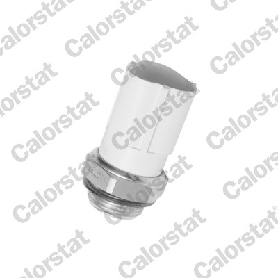 Termocontatto, ventola radiatore CALORSTAT BY VERNET TS2671