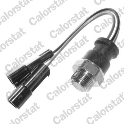 Termocontatto, ventola radiatore CALORSTAT BY VERNET TS2700