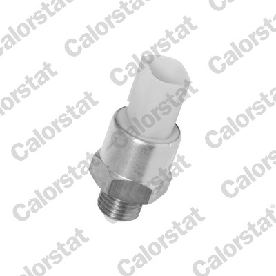 Termocontatto, ventola radiatore CALORSTAT BY VERNET TS2705