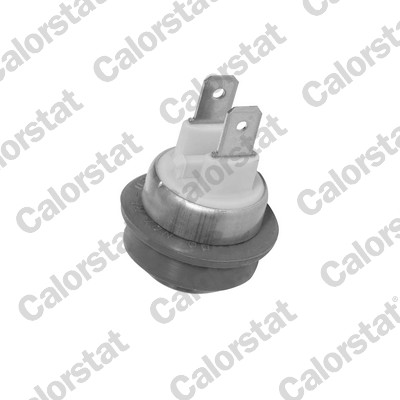 Termocontatto, ventola radiatore CALORSTAT BY VERNET TS2869