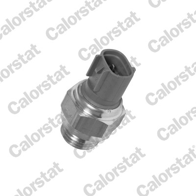 Termocontatto, ventola radiatore CALORSTAT BY VERNET TS2870