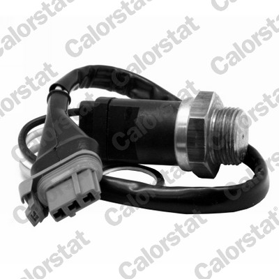 Termocontatto, ventola radiatore CALORSTAT BY VERNET TS2964