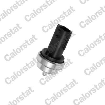 Sensore, temperatura refrigerante CALORSTAT BY VERNET WS3019