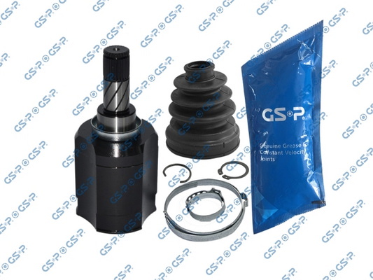 GSP GIUNTICV JOINT