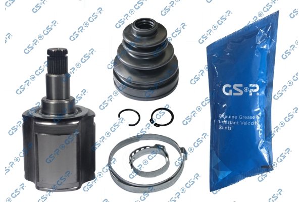 GSP GIUNTICV JOINT