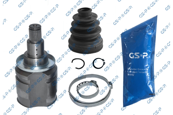 GSP GIUNTICV JOINT