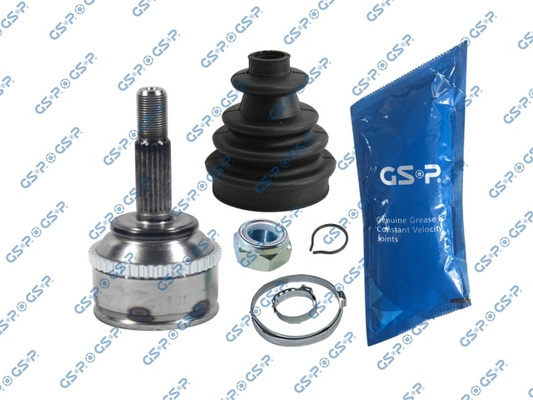 GSP GIUNTIGIUNTIRENAULT