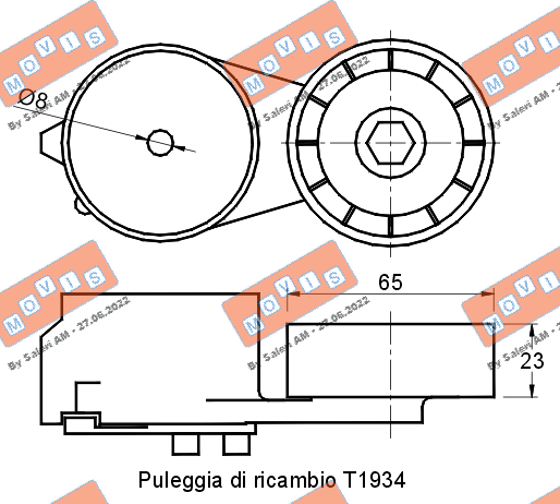 TENDICINGHIA ORGANI AUSILIARI
