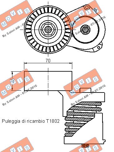 TENDICINGHIA ORGANI AUSILIARI