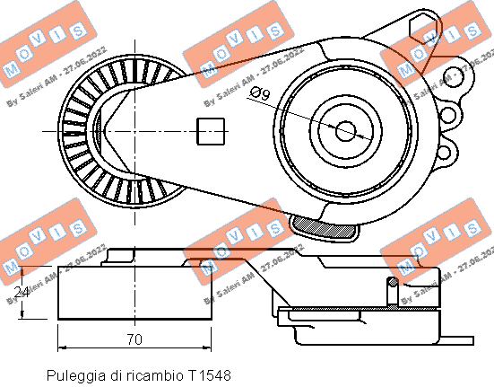 TENDICINGHIA ORGANI AUSILIARI