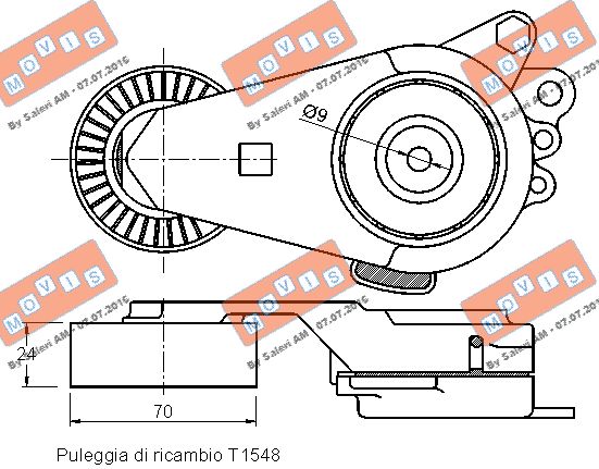 TENDICINGHIA ORGANI AUSILIARI