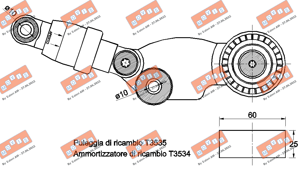TENDICINGHIA ORGANI AUSILIARI