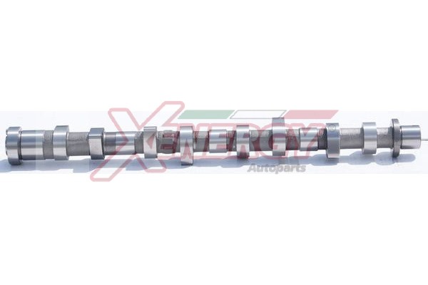 XENERGY ALBERO A CAMME