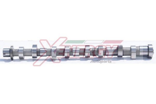 XENERGY ALBERO A CAMME