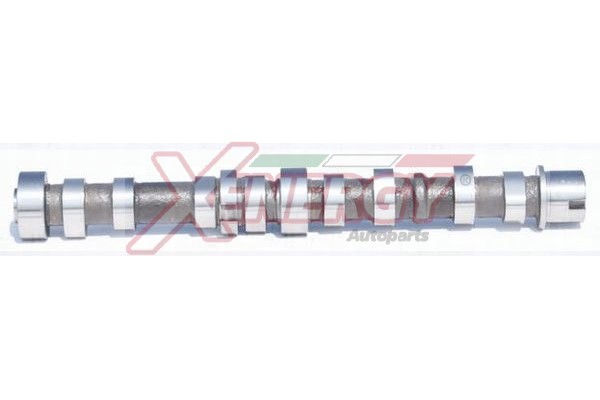 XENERGY ALBERO A CAMME