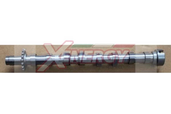 XENERGY ALBERO A CAMME