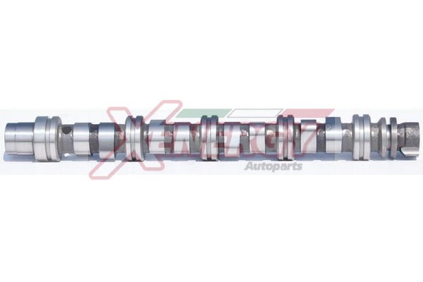 XENERGY ALBERO A CAMME