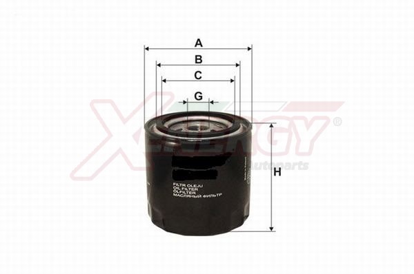 XENERGY F.OLIO