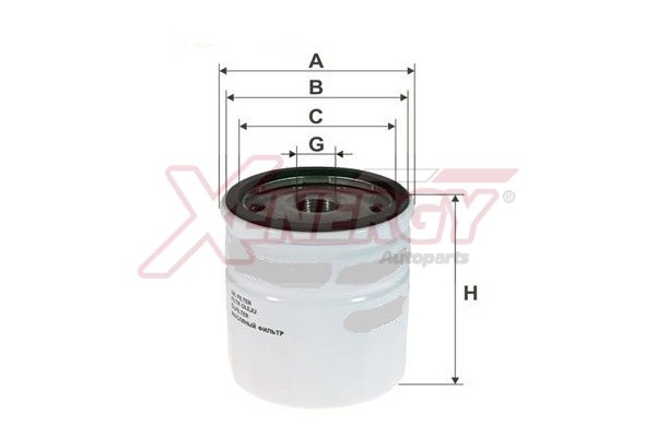 XENERGY F.OLIO