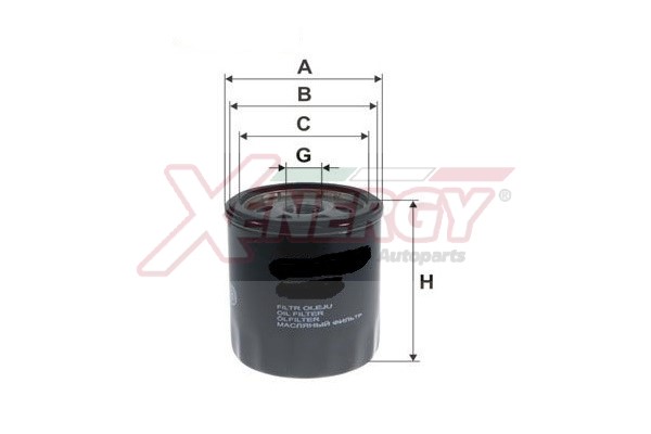 XENERGY F.OLIO