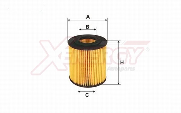 XENERGY F.OLIO