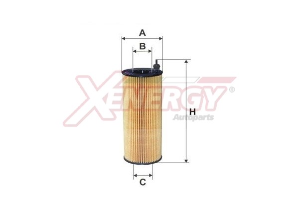 XENERGY F.OLIO