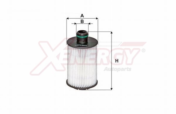 XENERGY F.OLIO
