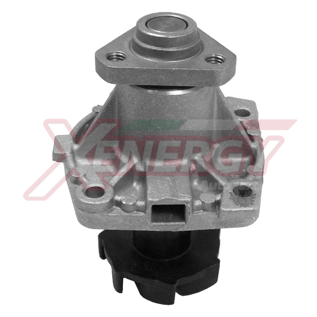 XENERGY P.ACQUA PA596 RENAULT 9 -85