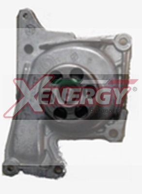 XENERGY P.ACQUA PA1091