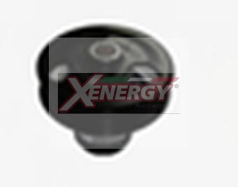 XENERGY P.ACQUA