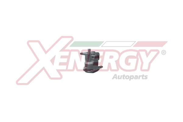 XENERGY P.OLIO