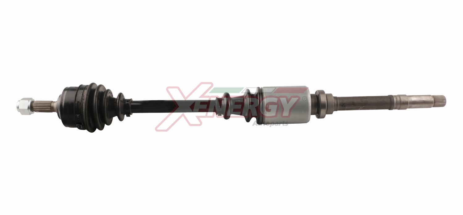 XENERGY SEMIASSE